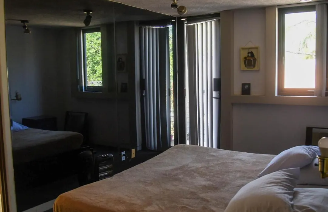 Casa Lulu Coyoacan-1