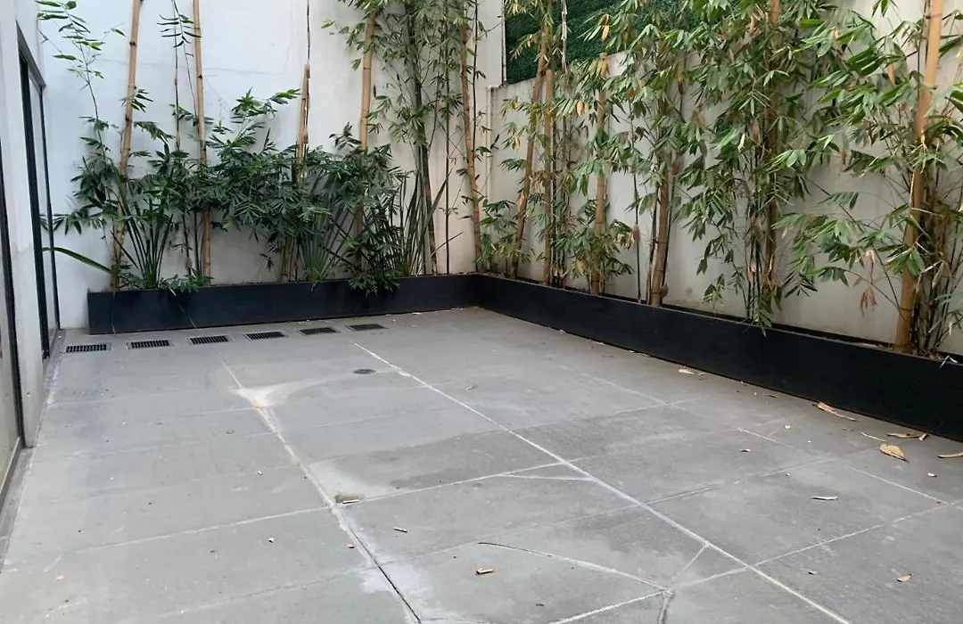Amazing Garden House in Condesa-1