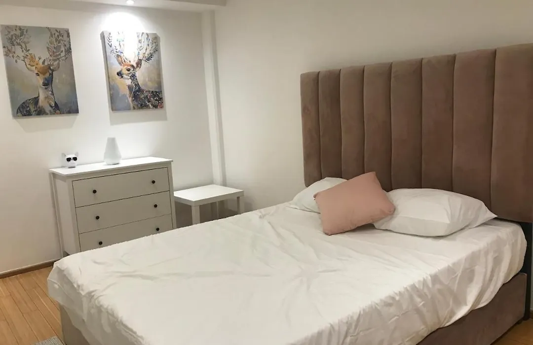 Lovely 2 Bedrooms Apartment-1