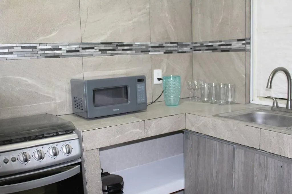 Habitacion En Departamento Compartido En El Area De Nuevo Polanco-1