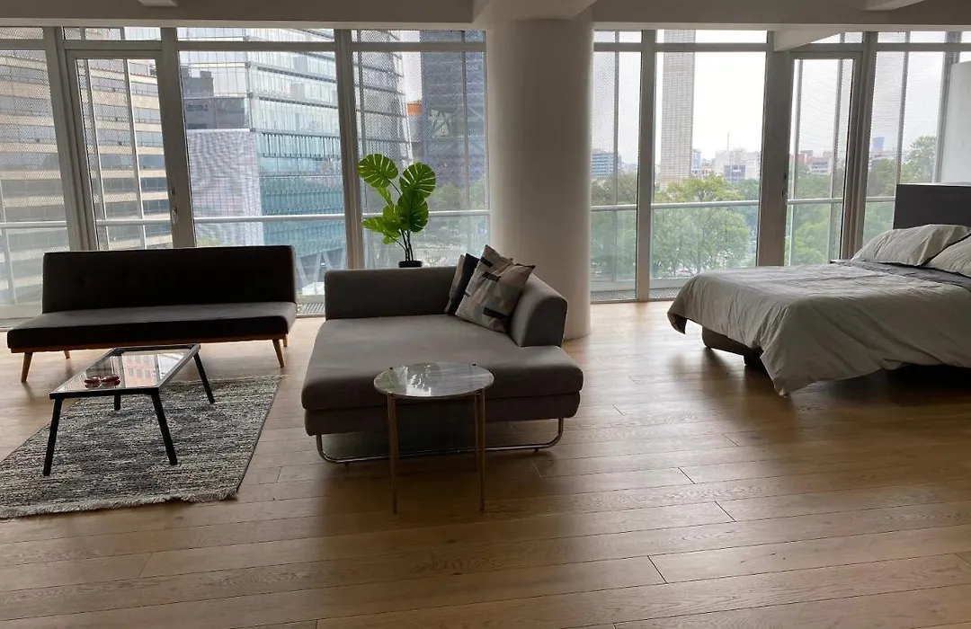 Loft-1