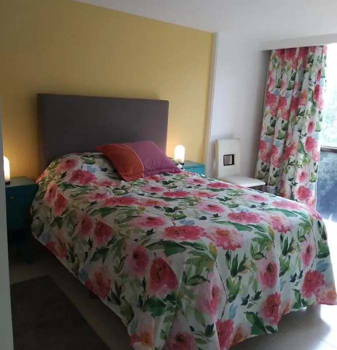 Charming Sunny Bedroom Overlooking Beautiful Amsterdam Avenue In Best Condesa Area-1