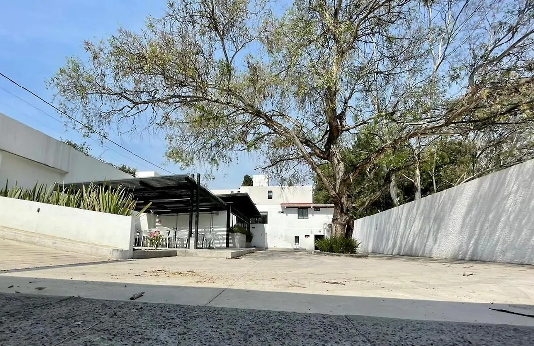 Casa Bonsai-1