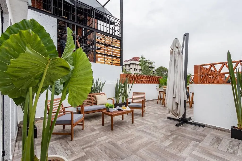 Loft Con Patio, Roof Garden En La Roma-1