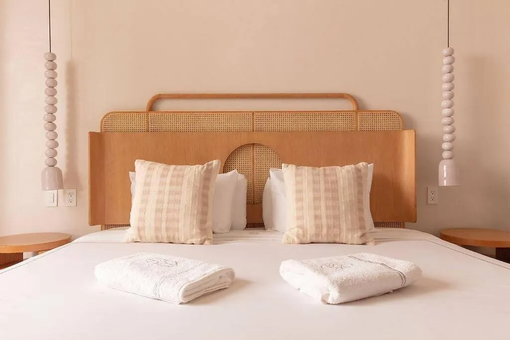 Mr. W I Cute 1 Bedroom I Polanco I Casa Ofelia 3-1