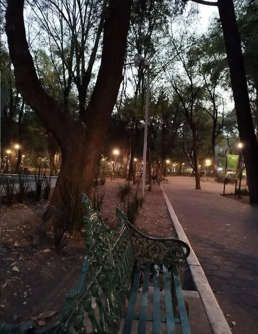 Departamento Luxury Condesa-1