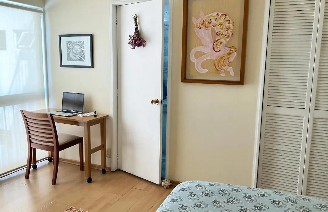 Amplia Habitacion Con Bano Privado En Coyoacan-1