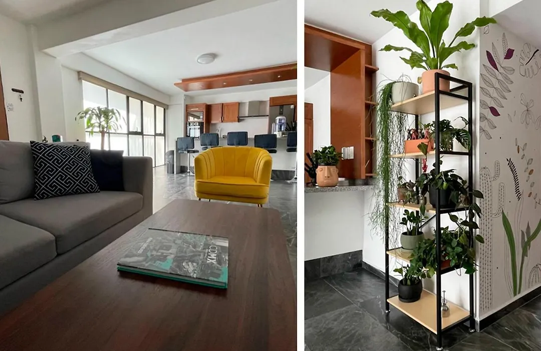Great Apartment In The Heart Of Coyoacan-1