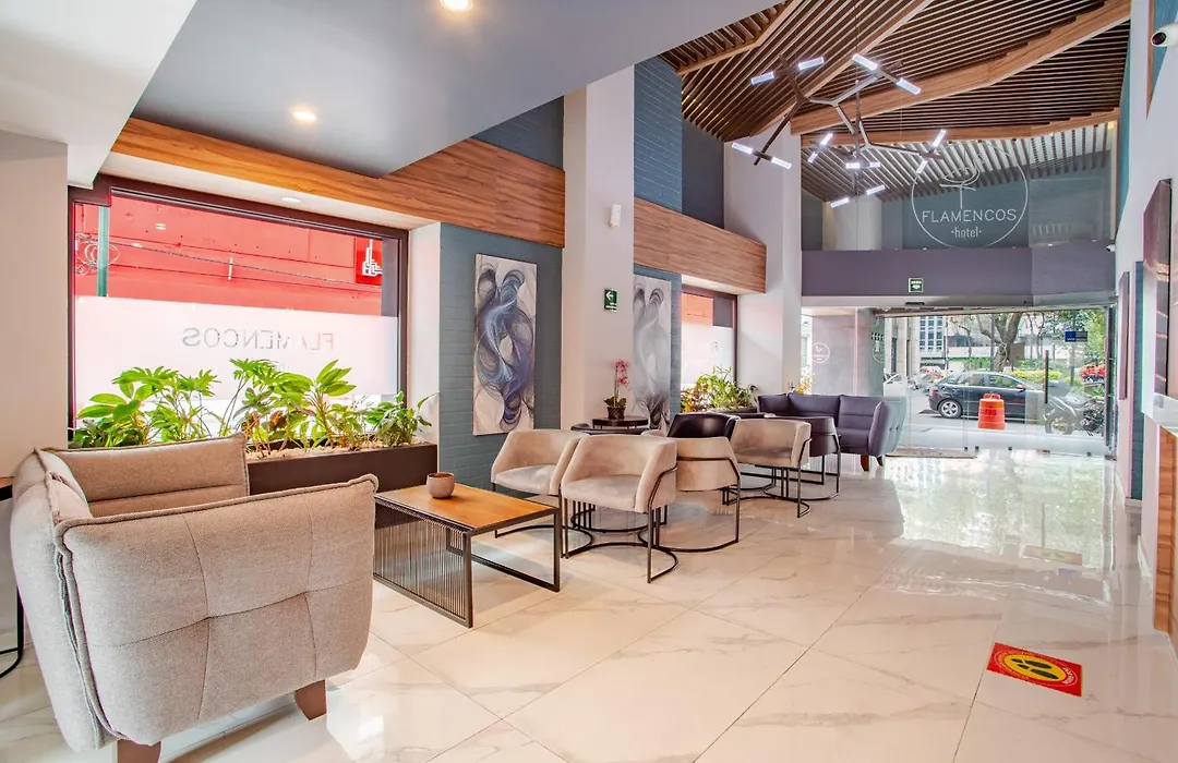 Hotel Flamencos-1