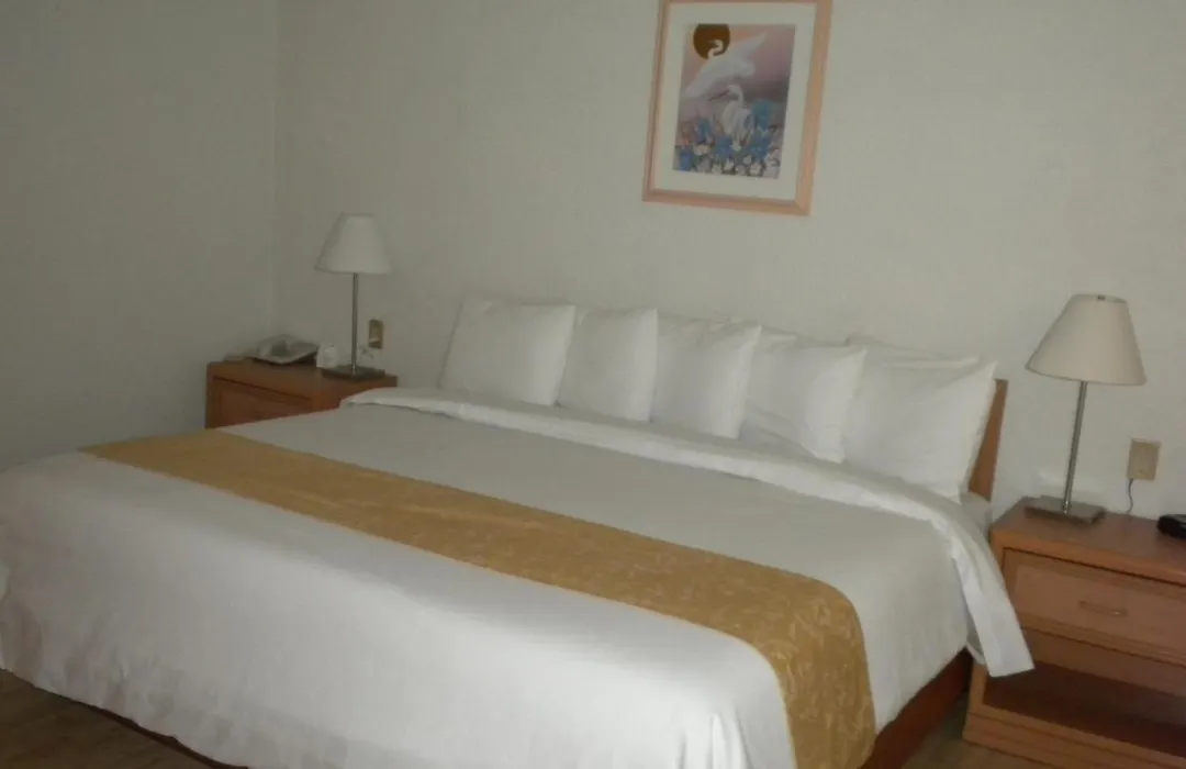 Hotel Pf-1