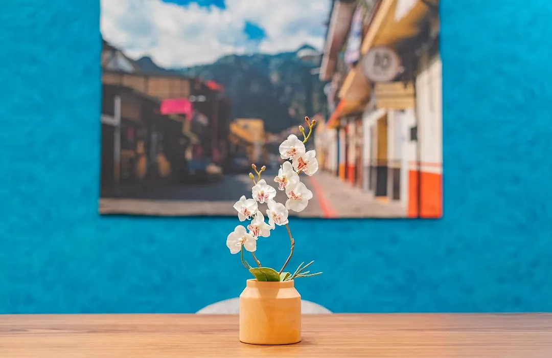 Hipodromo Condesa Apartments By Vh-1