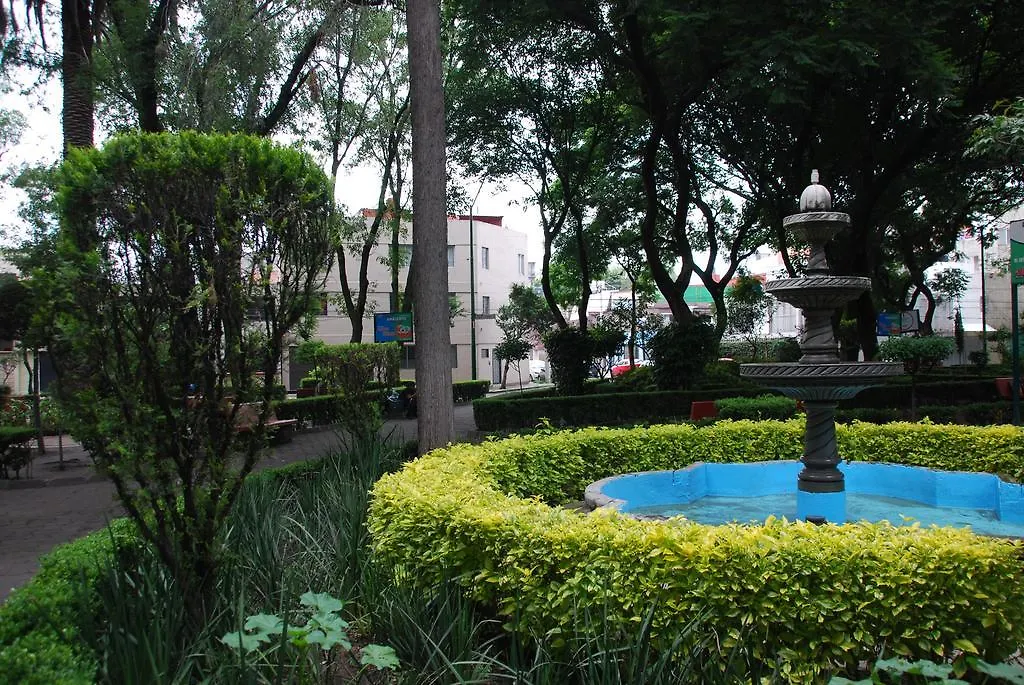 Homfor Napoles-1