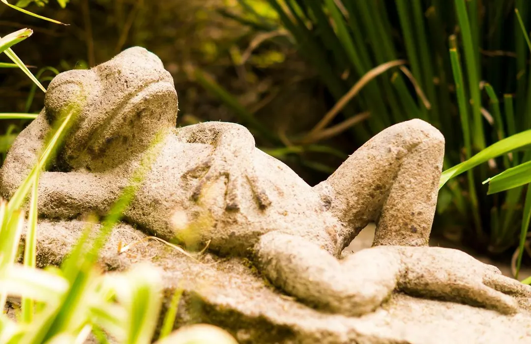 Suite 3B La Paz, Welcome To San Angel-1
