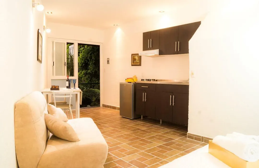 Suite 5B, Cultura, Garden House, Welcome To San Angel-1