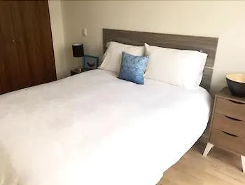 Full Amenities Apt Polanco Area-3