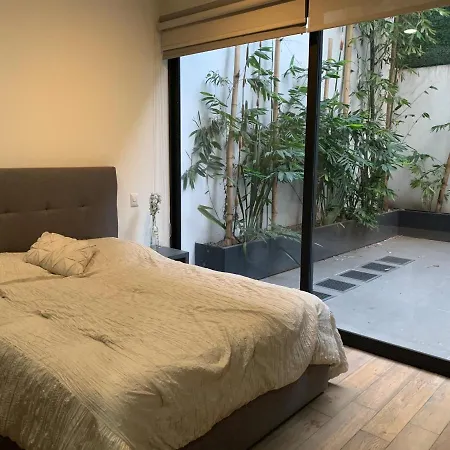 Amazing Garden House in Condesa-3