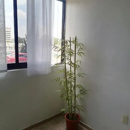 Habitacion A 7 Minutos Del Centro Historico-2