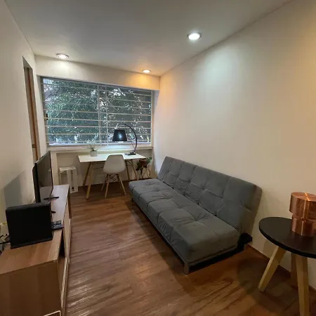 C1 Amazing Cozy Apartment In Condesa-3