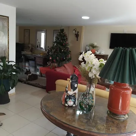 Charming Sunny Bedroom Overlooking Beautiful Amsterdam Avenue In Best Condesa Area-3