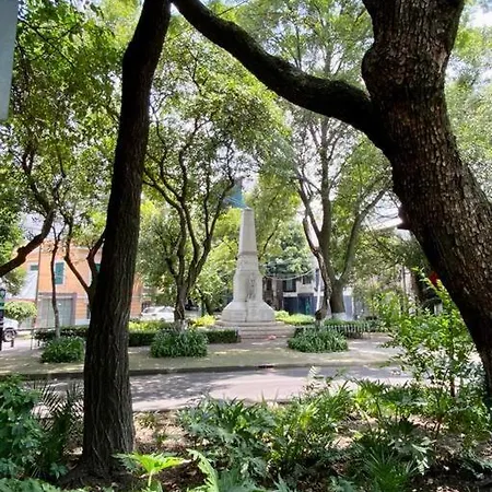 Best Street, Best View In Condesa-3