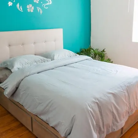 Cozy & Spacious With Private Rooftop In Roma Norte-2