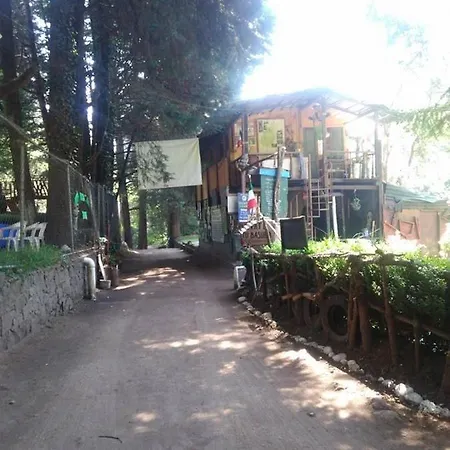 Dinamos Mx - Paidos-3