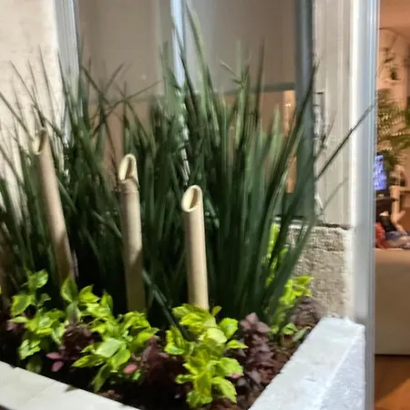 Appartement Organic House !!-2