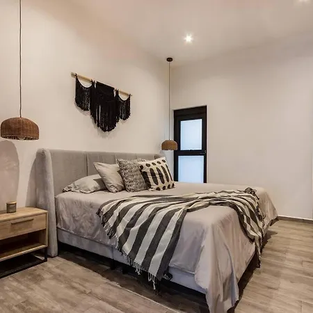 Loft Con Patio, Roof Garden En La Roma-3