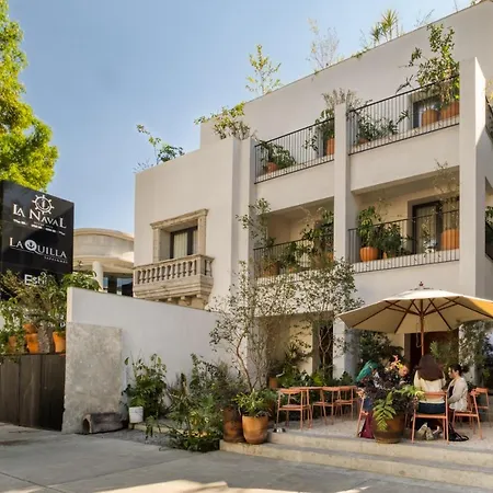 Mr. W I Cute 1 Bedroom I Polanco I Casa Ofelia 3-2