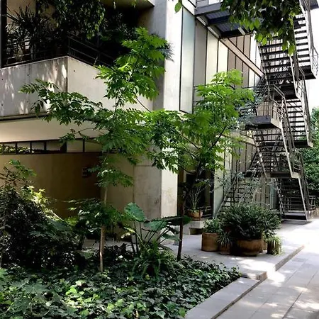 Silent Retreat Near Condesa Df Hotel-2