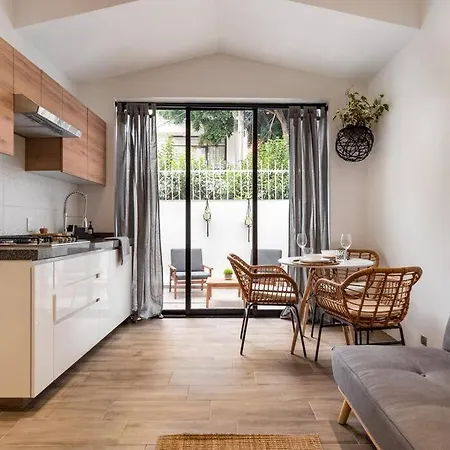 Loft Con Patio, Roof Garden En La Roma-2