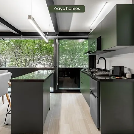 Lamartine 205-301-Cdmx-3