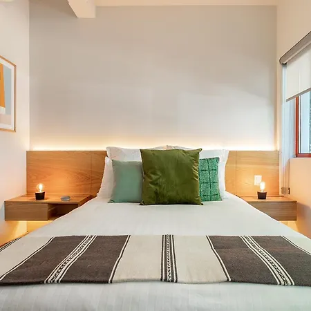 Wynwood House Campeche-3