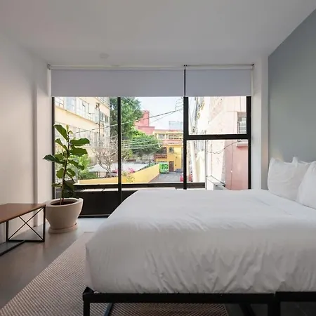 Homey 2Br In Roma Norte-3