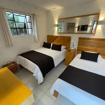 Hostal Roma Condesa-3