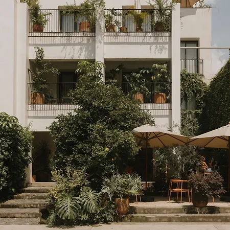 Casa Ofelia-2