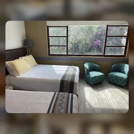 Habitaciones Coyoacan-3