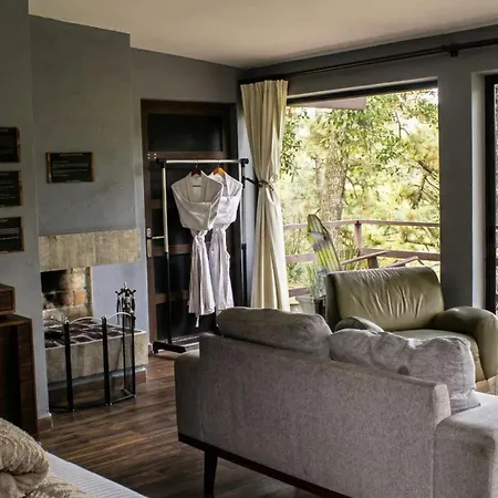 Organico Hotel Boutique-2