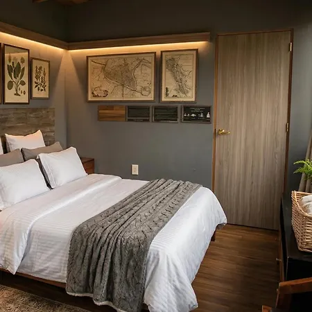 Organico Hotel Boutique-3