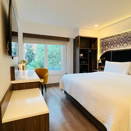 Holiday Inn Express Ciudad De Mexico Condesa By Ihg-2
