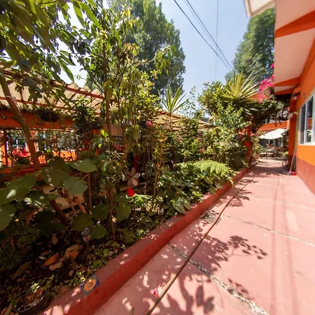 Harmony Coyoacan 1 O 2 O 3 Habitaciones Y 2 Banos En El Centro De Coyoacan-3