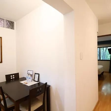 Sanrafa Polanco I-2