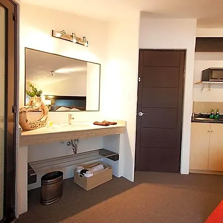 Aztic Hotel & Suites Ejecutivas-3