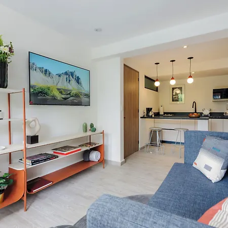 Choapan 28 - Lux Apartments In Condesa-3