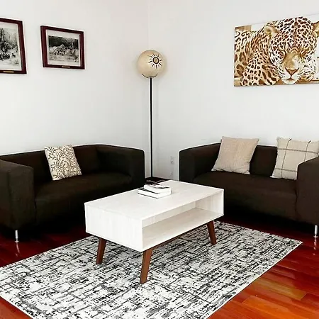 Condesa Residence Amsterdam D Sunny 2Bed 1Bath Apt In Condesa-3