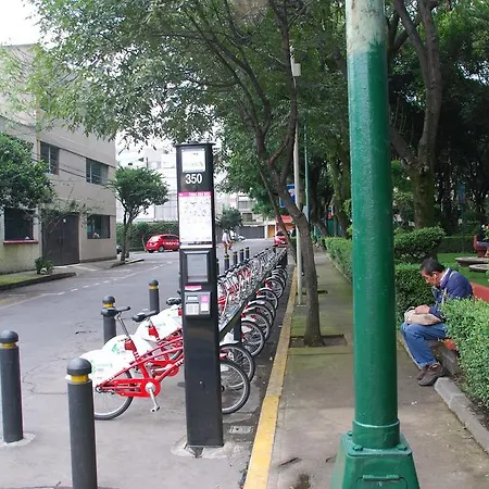 Homfor Napoles-2