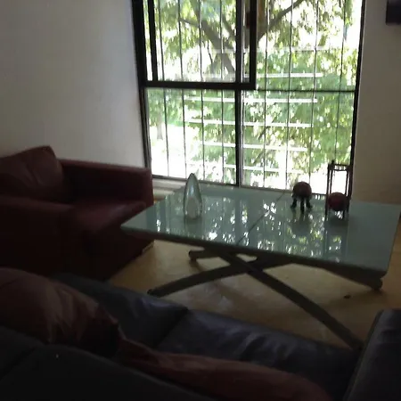 Lovely Apartment Ahuehuetes-3