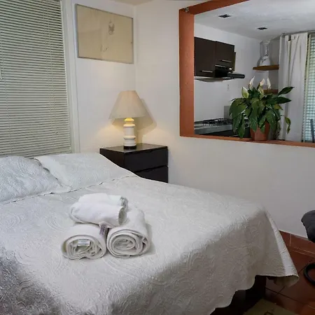Suite 4A, Terraza, Garden House, Welcome To San Angel-3
