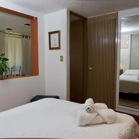 Suite 4A, Terraza, Garden House, Welcome To San Angel-2