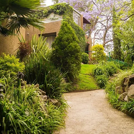 Suite 1-A Monasterio Garden House Welcome To San Angel-2